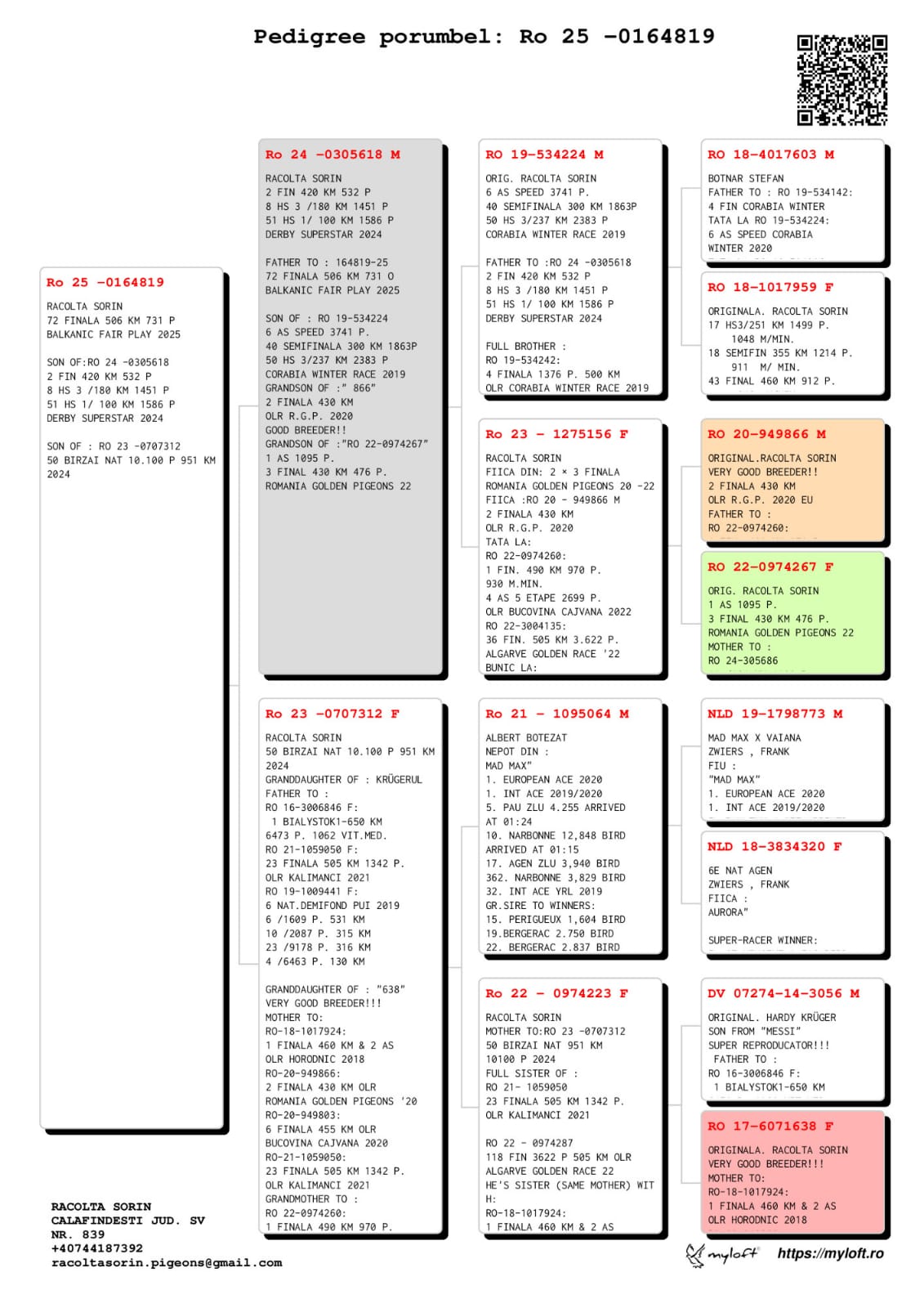 72	Final Race (506 km) 	 RACOLTA SORIN	 RO 164819	