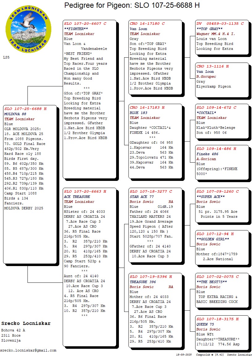 73	Final Race (502 km) 	 Team Locniskar + Sovic	 SLO-25-107-6688	