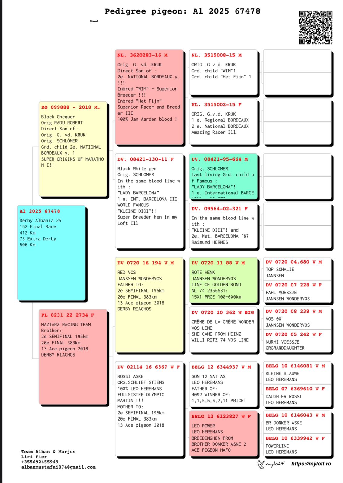 73	place Super Derby (506 km) 	 Bani & Marjus	 AL-67478-2025 	