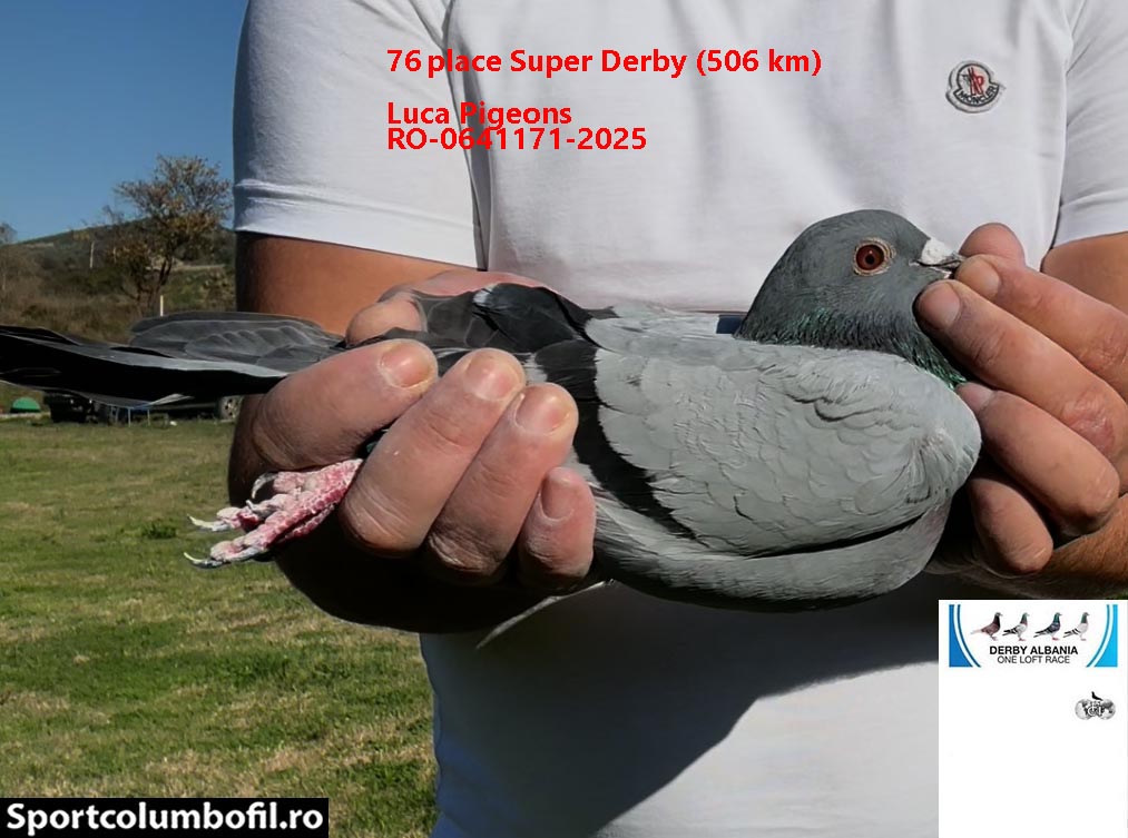 75	place Super Derby (506 km) 	 Adi Ibrahimi	 AL-69505-2025 	