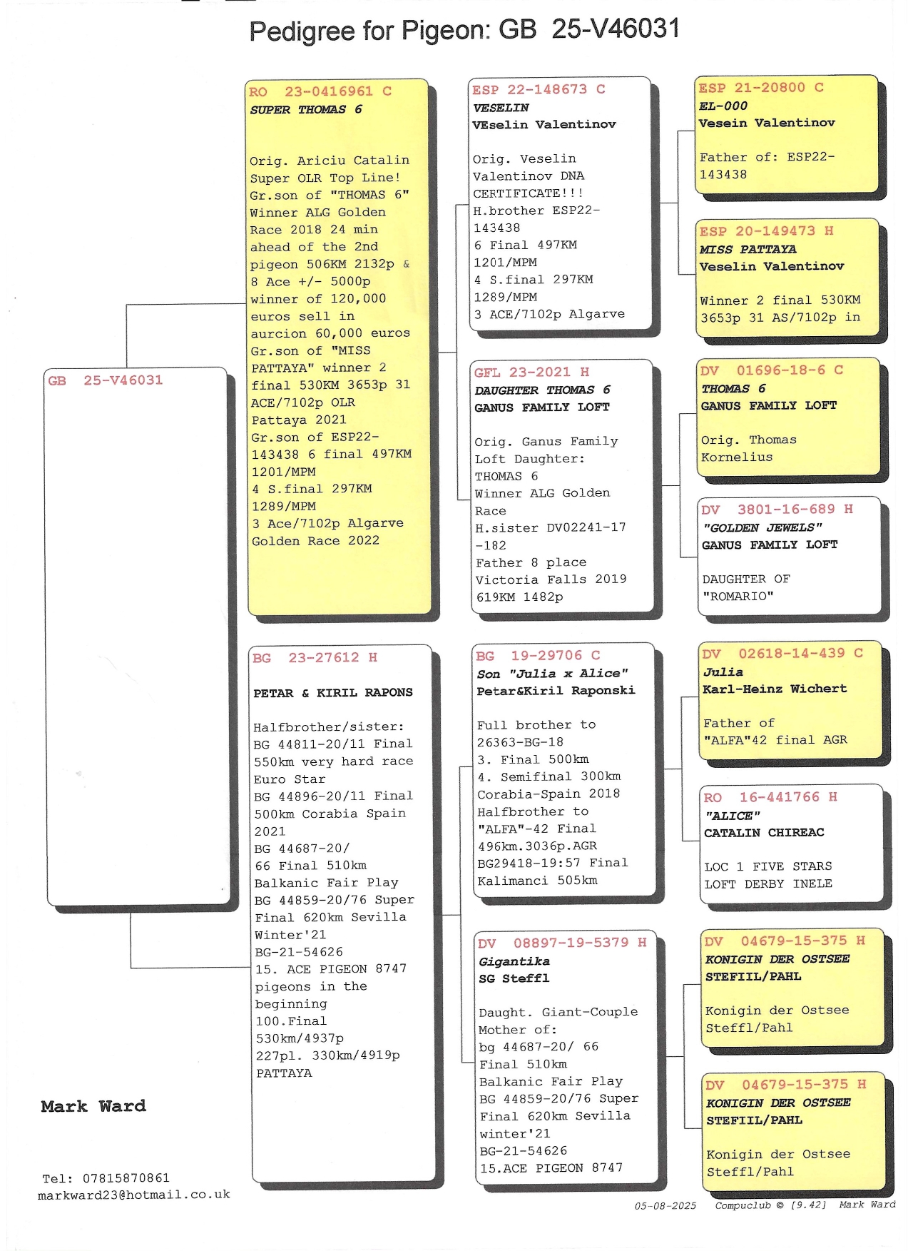 8	FINAL RACE (515 km) 	 TINKS TREASURE	 GB-25-V46031	
