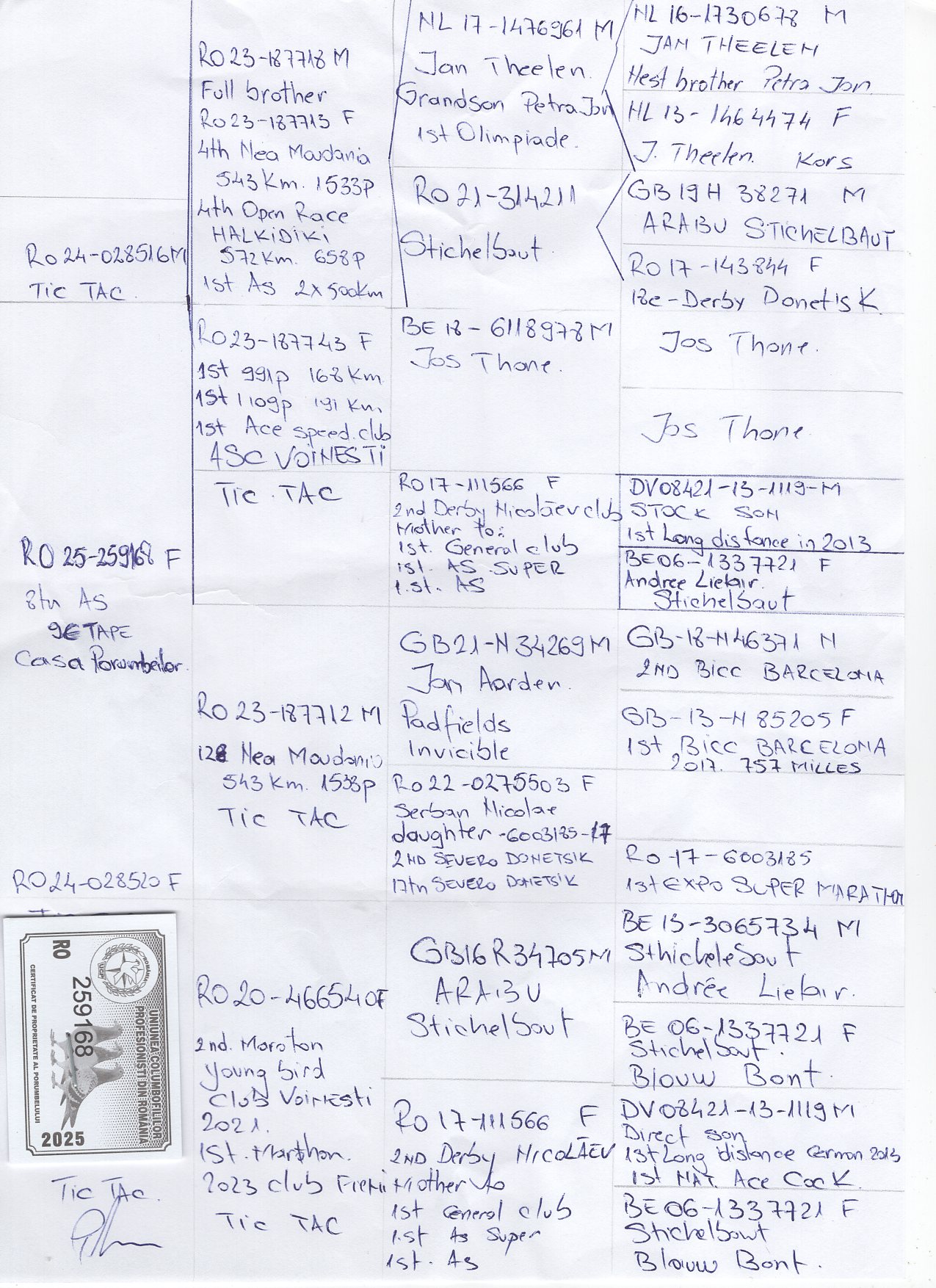 8 place EXTRA SUPER DERBY (553 km) TIC - TAC 259168 25