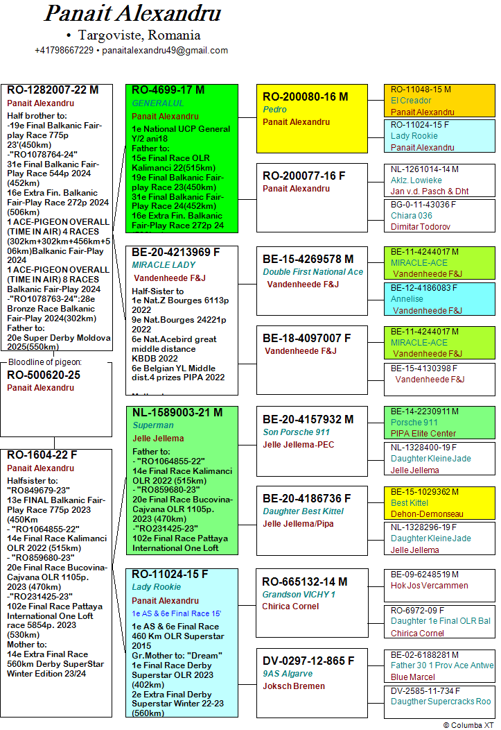8	place Extra Super Derby (605 km) + 6 Ace FOND 	 Panait Alexandru	 RO-25-500620	