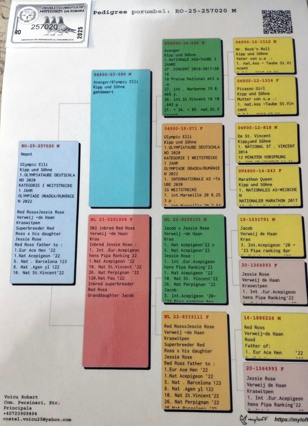 8 place Final (562 km) TGO + SOFI - RO 257020/25