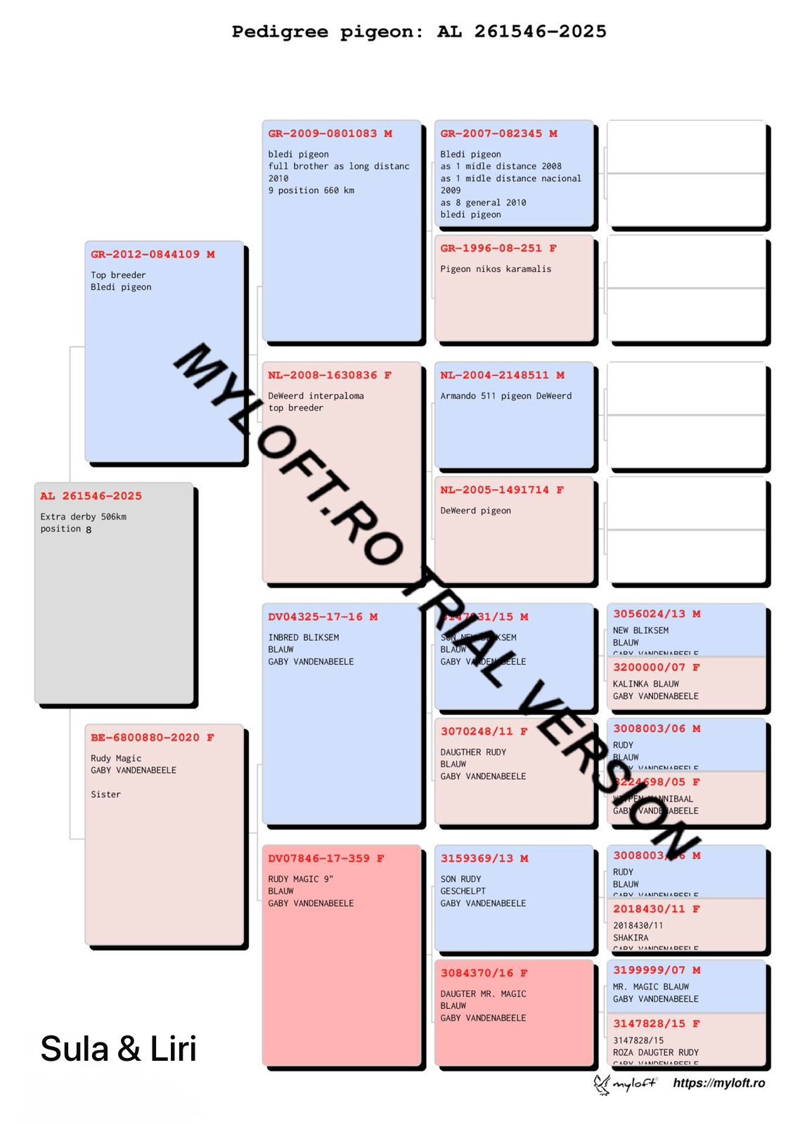 8	place Super Derby (506 km) 	 Liri & Sula	 AL-261546-2025	
