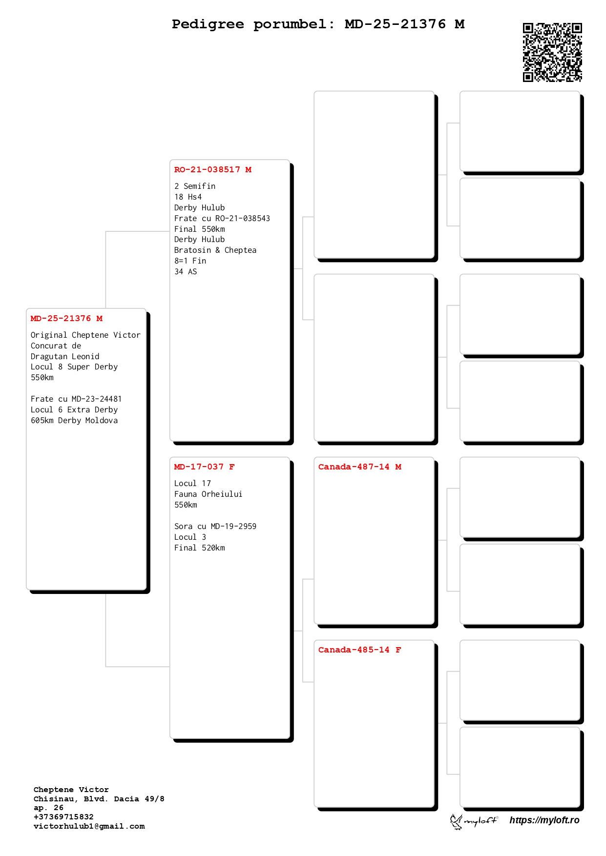 8	place Super Derby (550 km) 	 Dragutan Leonid	 MD-25-21376 	
