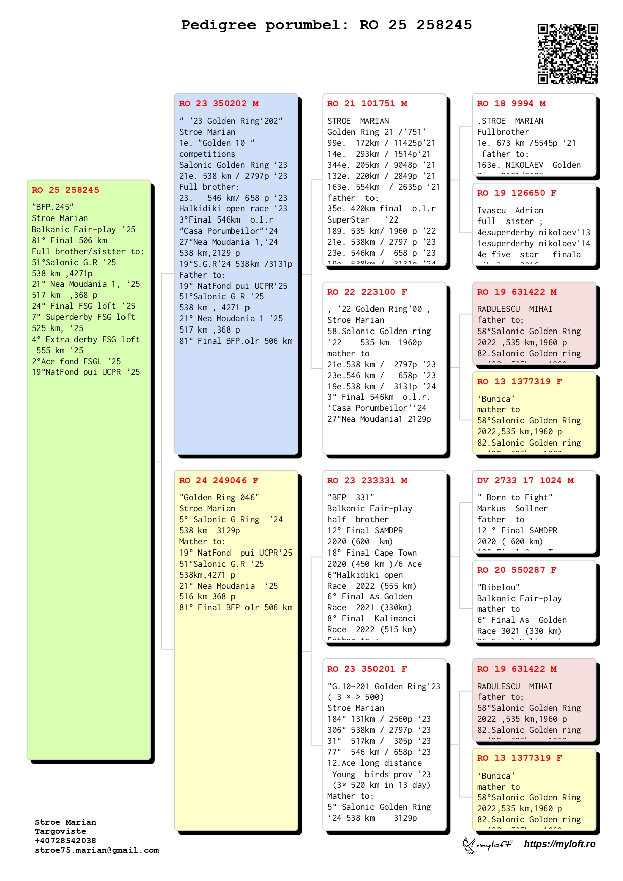 81	Final Race (506 km) 	 STROE MARIAN	 RO 258245	