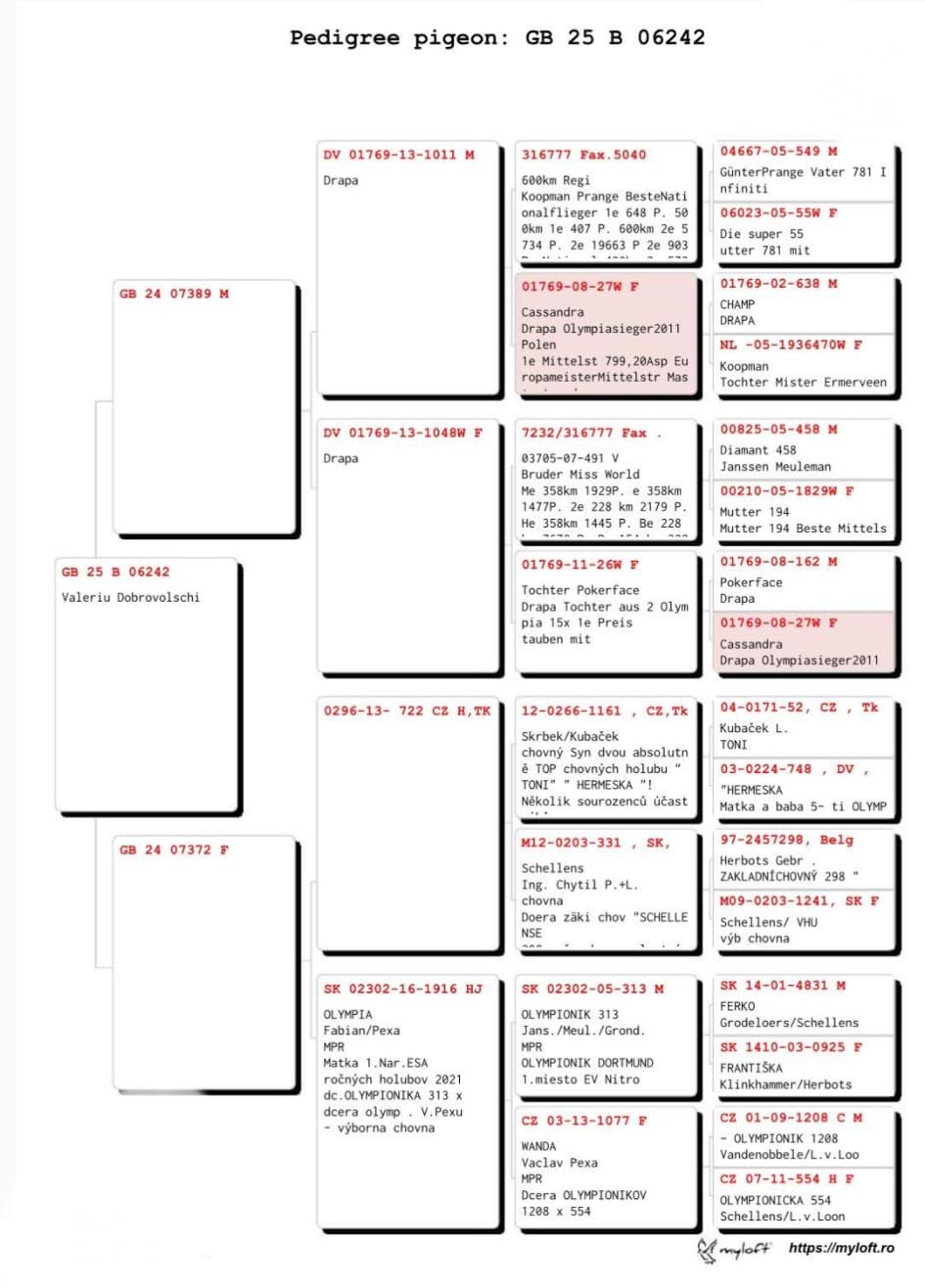 85	Final Race (506 km) 	 VALERIU DOBROVOLSCHI	 GB B 6242	