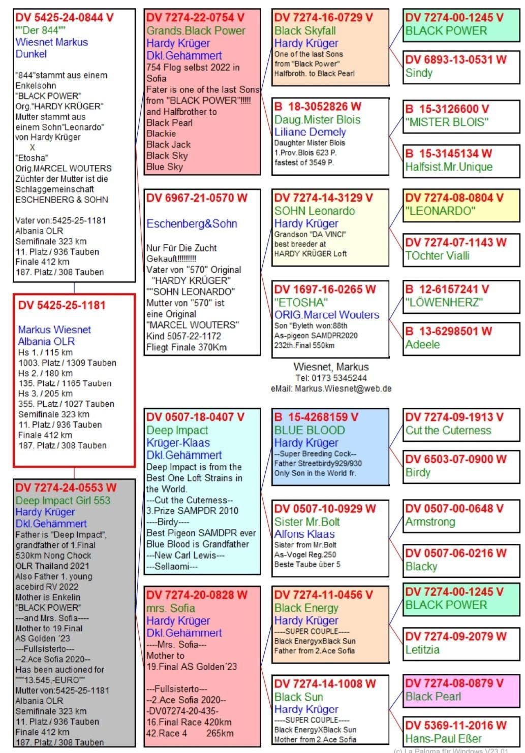 85	place Super Derby (506 km) 	 Wiesnet & Kurz Team B - TTJ	 DV-05425-1181-2025 	