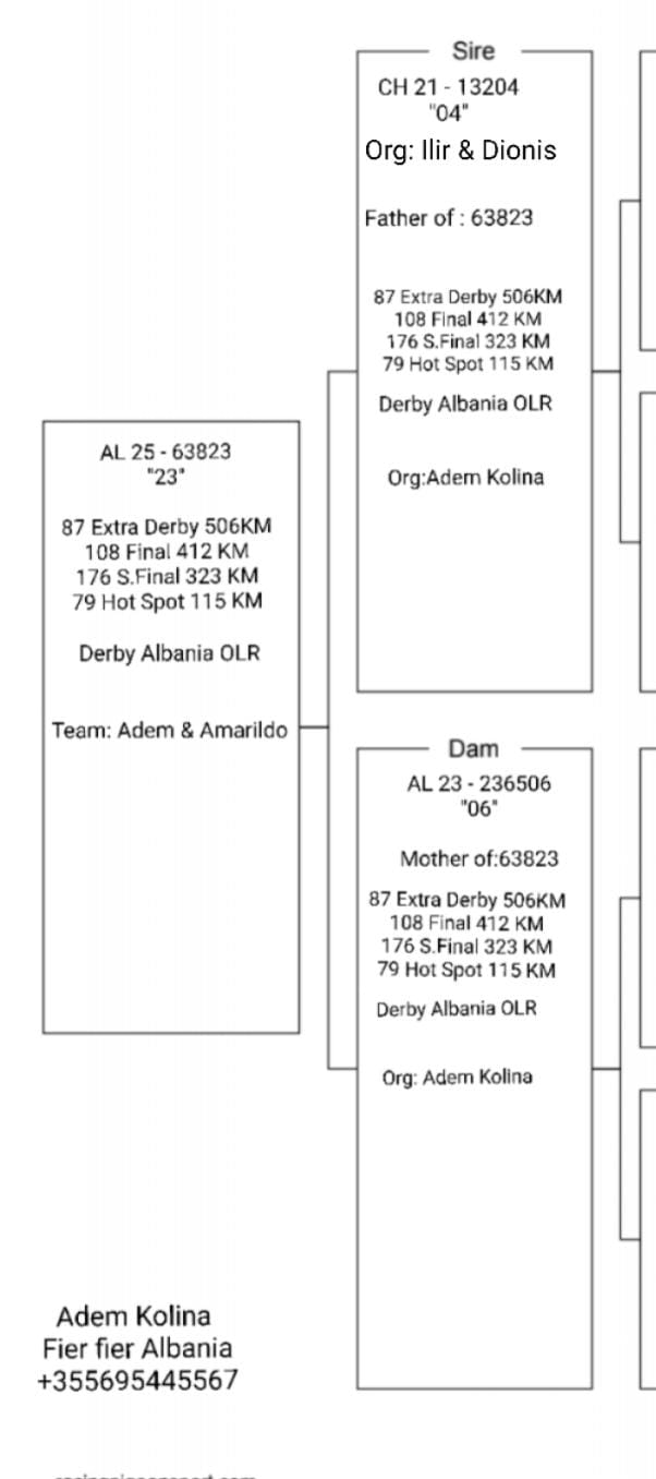 87	place Super Derby (506 km) 	 Adem & Amarildo Team B	 AL-63823-2025 	