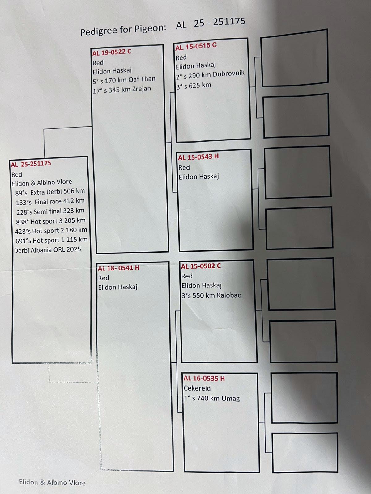 89	place Super Derby (506 km) 	 Elidon & Arbino Vlor	 AL-251175-2025 	