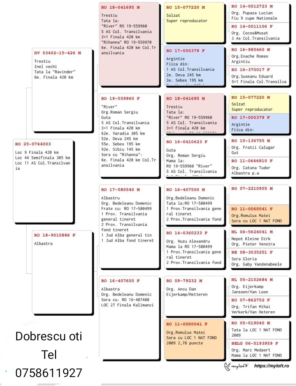 9	Final (420 km) 	 DOBRESCU OTI	 RO-25-0744003	