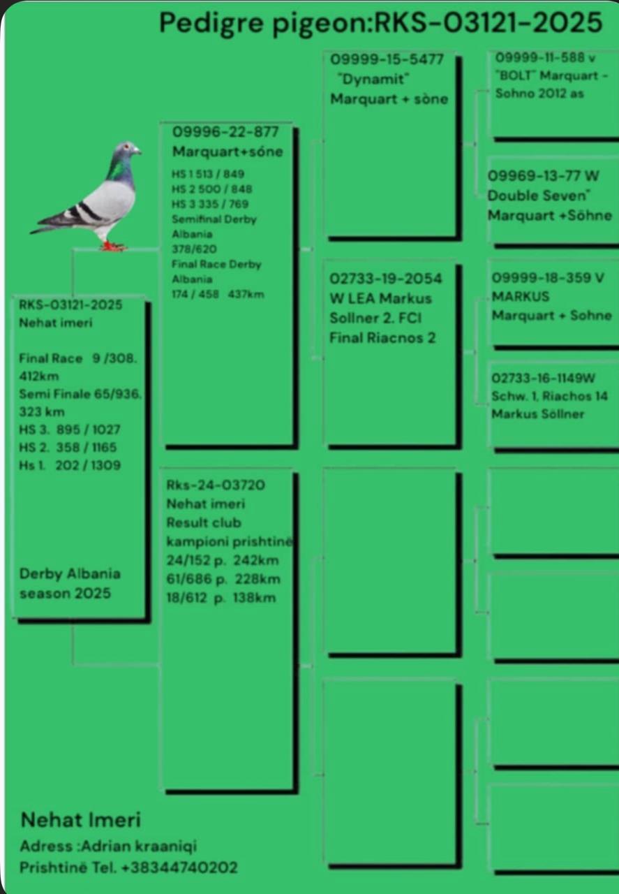 9	Final Race (412 km) 	 Nehat Imeri	 RKS-03121-2025	