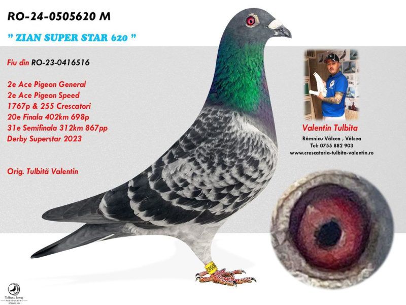 9	FINAL RACE (515 km) 	 TULBITA VALENTIN & ADRIAN NECSULESCU	 RO-25-0706568	