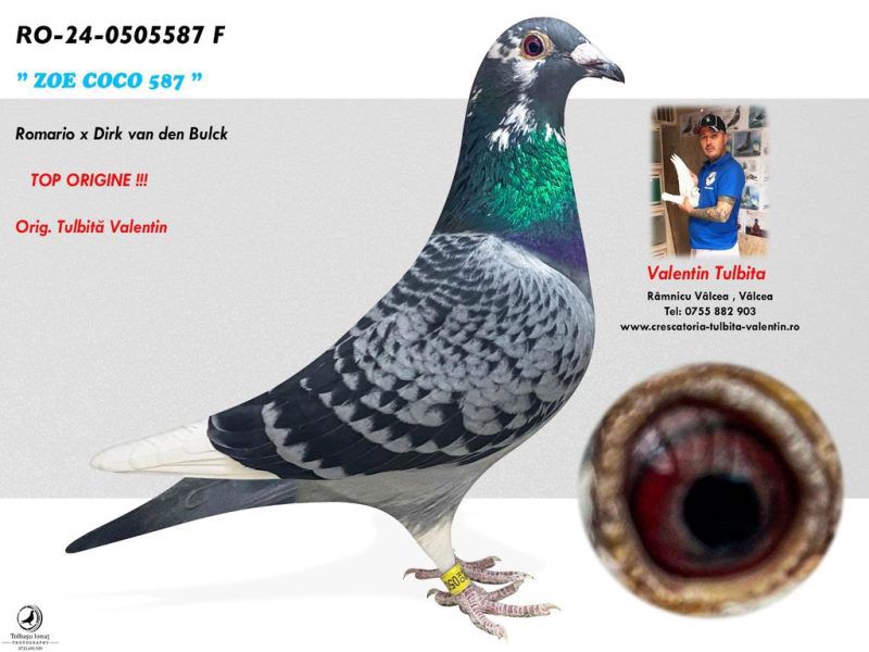 9	FINAL RACE (515 km) 	 TULBITA VALENTIN & ADRIAN NECSULESCU	 RO-25-0706568	