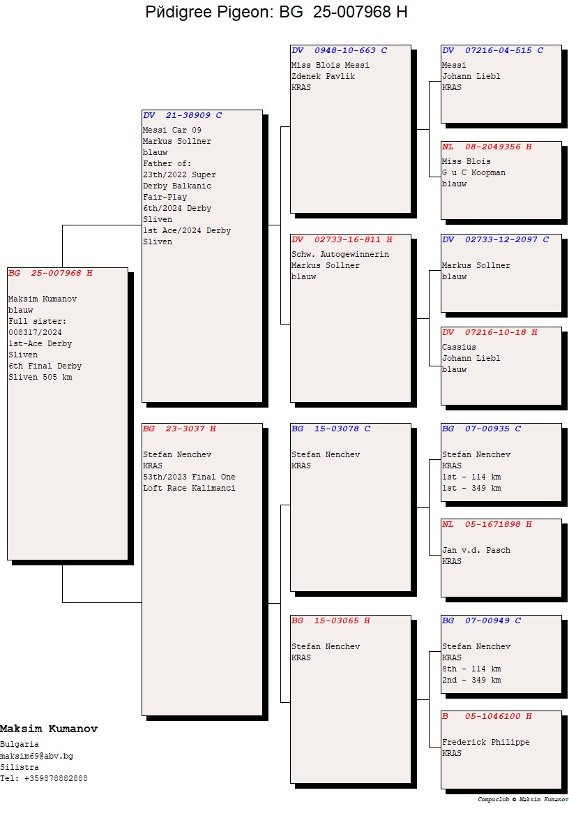 9	place Super Derby (550 km) 	 Macsim Kumanov	 BG-25-007968	