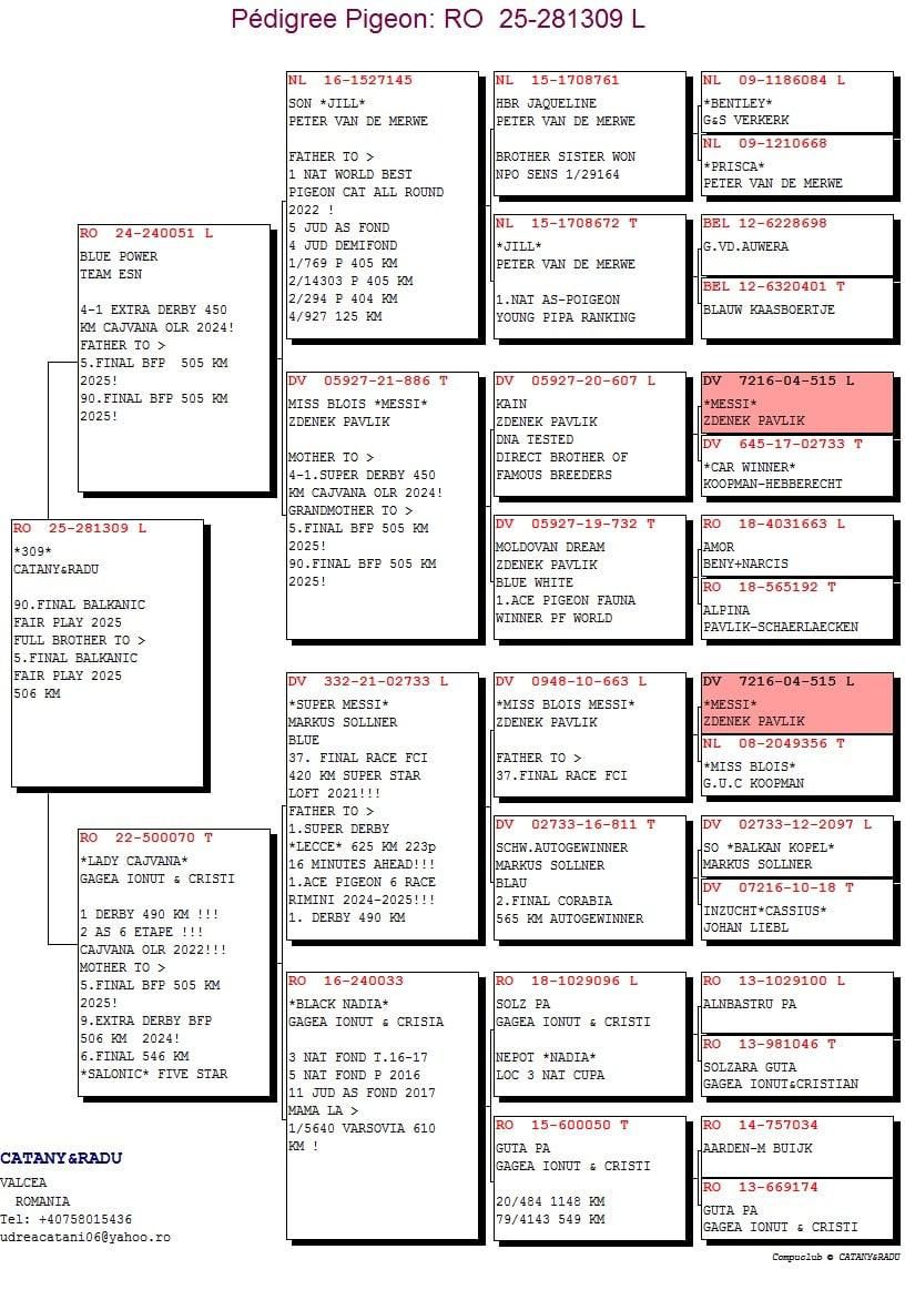 90	Final Race (506 km) 	 CATANY & RADU	 RO 281309	