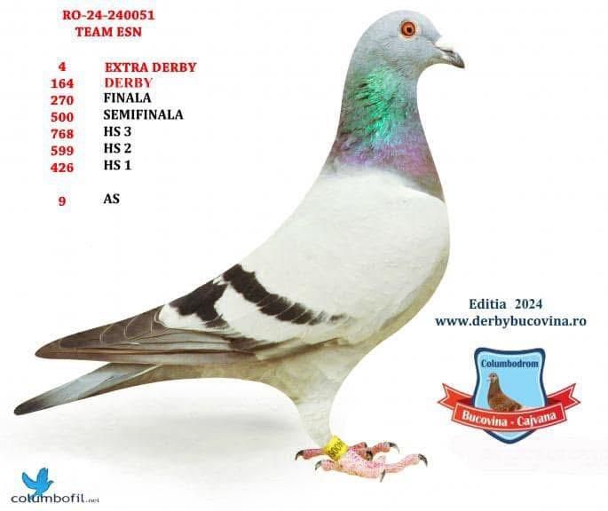 90	Final Race (506 km) 	 CATANY & RADU	 RO 281309	