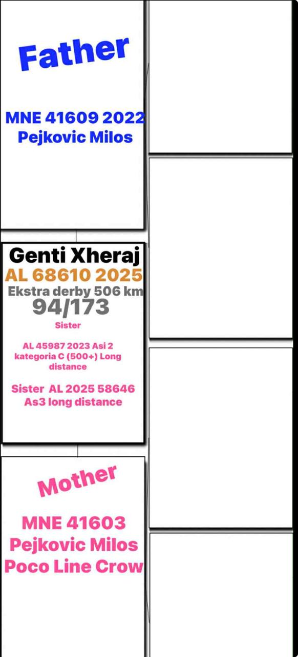 94	place Super Derby (506 km) 	 Genti Xheraj	 AL-68610-2025	