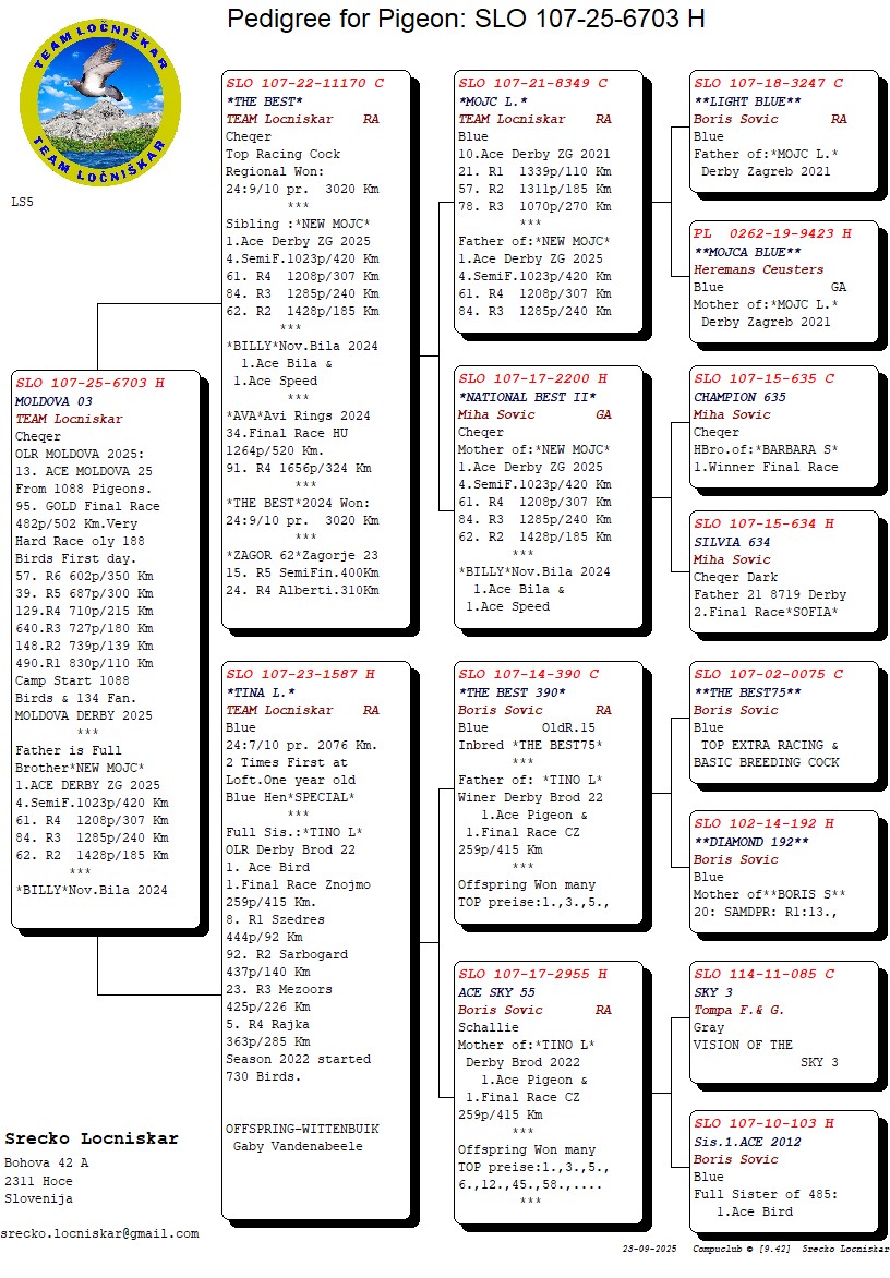 95	Final Race (502 km) 	 Team Locniskar + Sovic	 SLO-25-107-6703	