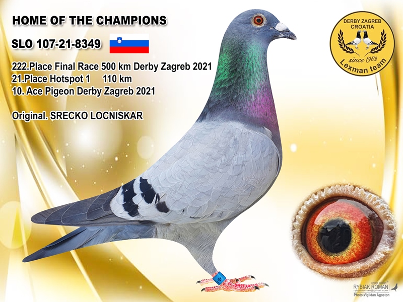 95	Final Race (502 km) 	 Team Locniskar + Sovic	 SLO-25-107-6703	