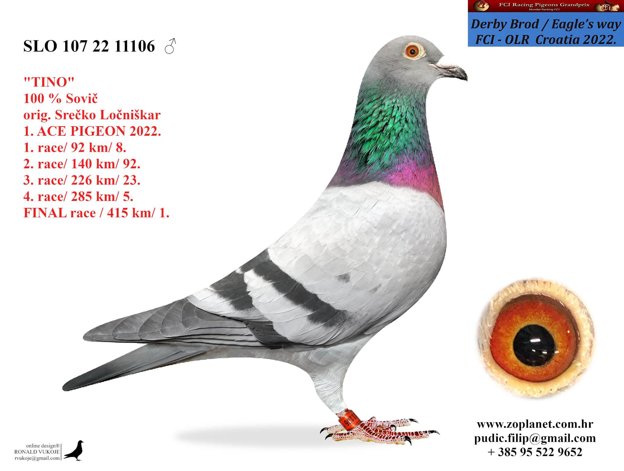 95	Final Race (502 km) 	 Team Locniskar + Sovic	 SLO-25-107-6703	