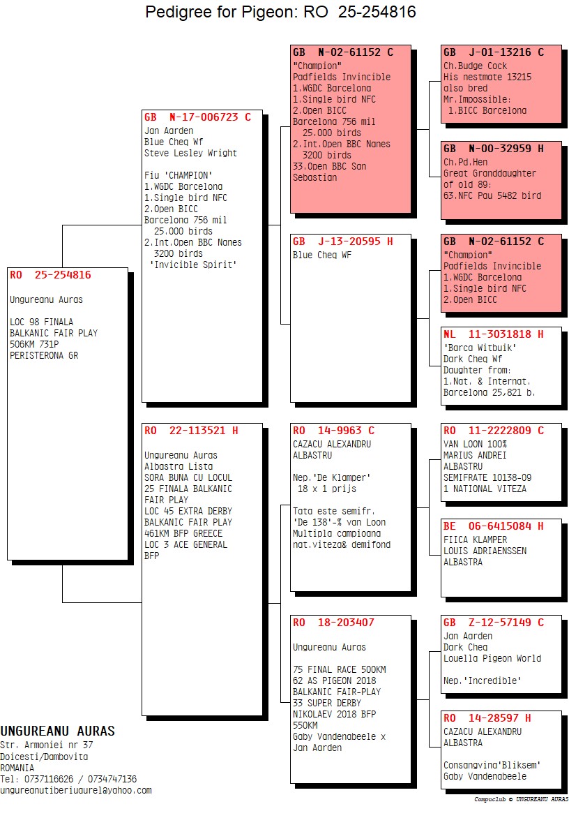 98	Final Race (506 km) 	 BUDEANU PIGEONS LOFT	 RO 254816	