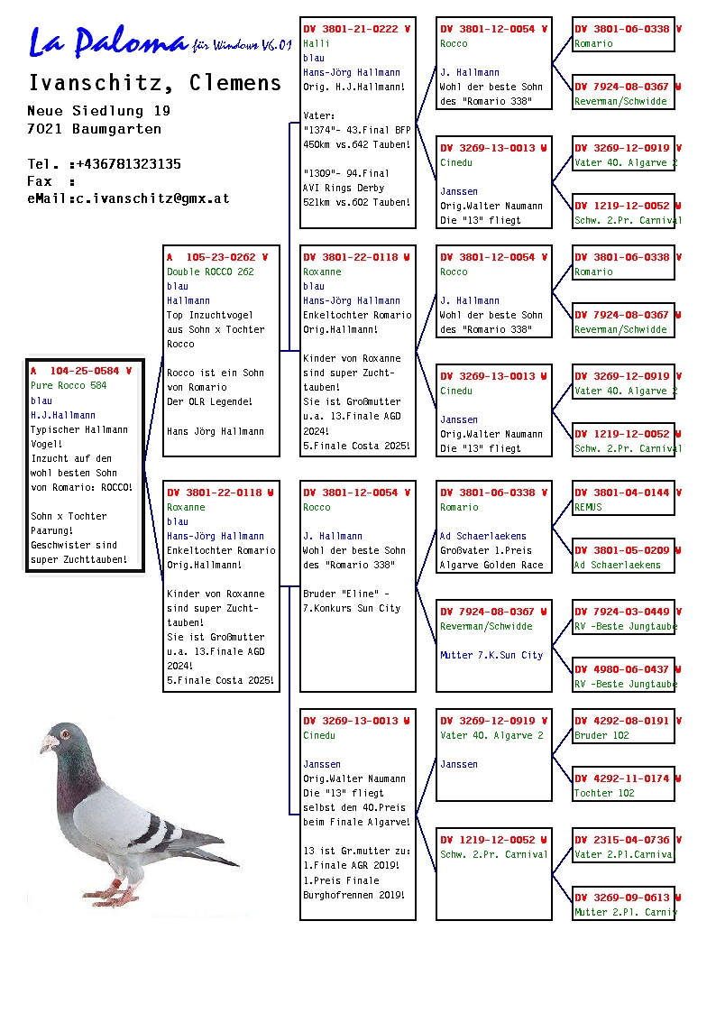 A 104 25 584 M - Inbred ROCCO (Hallmann)