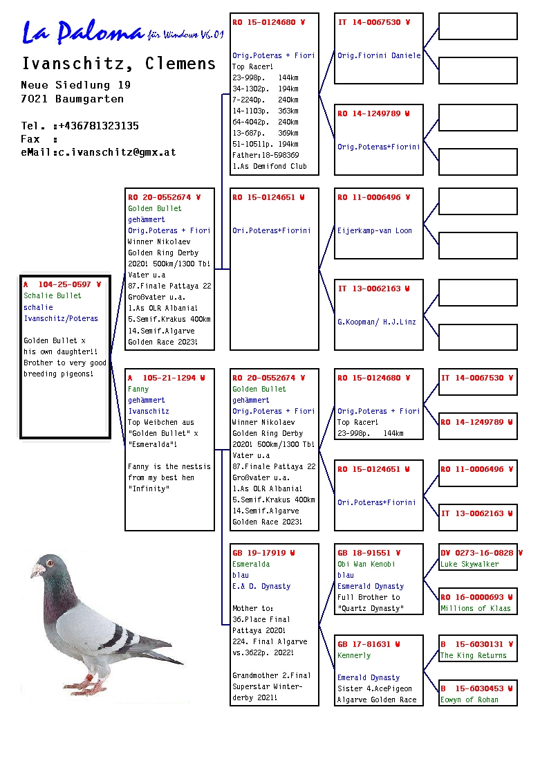 A 104 25 597 F - Super inbred daugther GOLDEN BULLET 1 Nikolaev Golden Ring 
