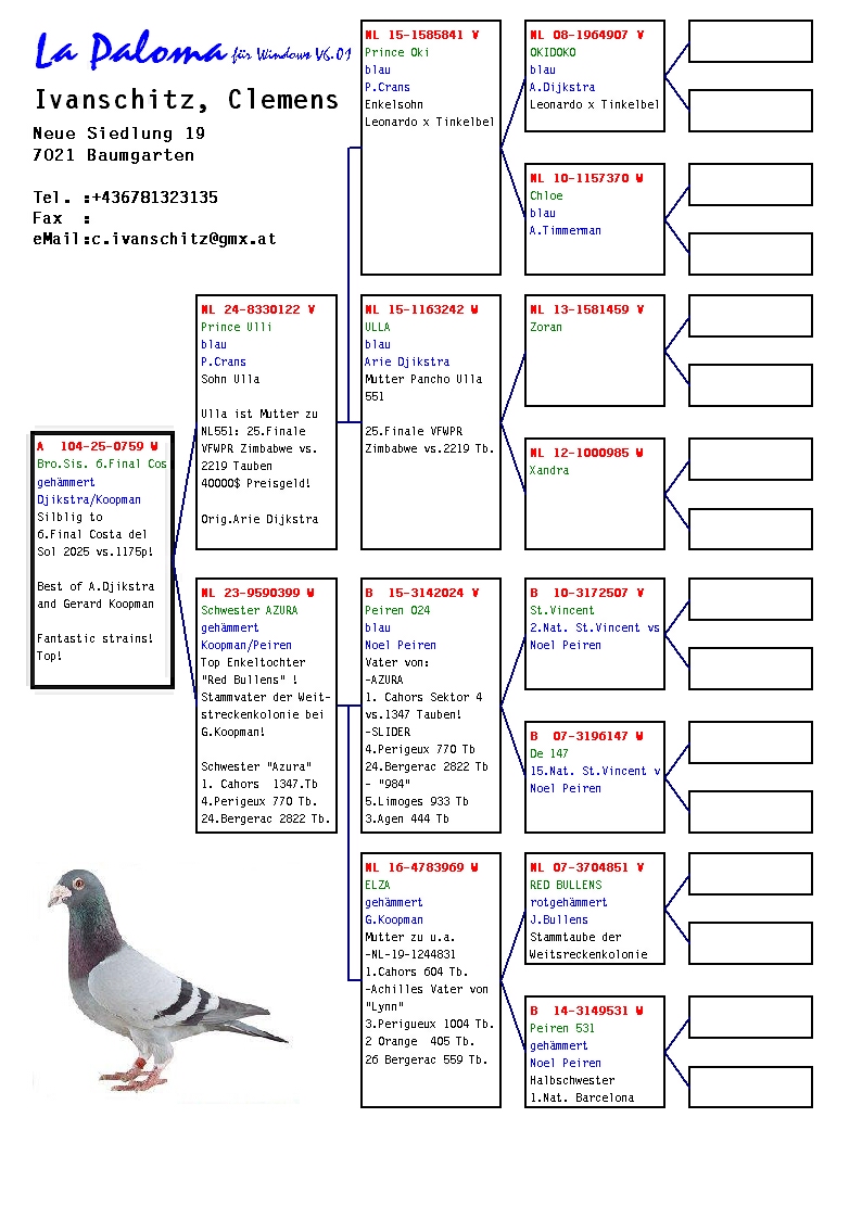 A 104 25 759 F - Sister 6 Final Costa del Sol OLR