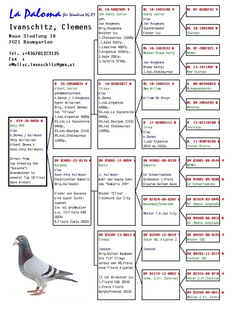 A 614 26 658 F - Daughter Roxanne (Hallmann) SUPER BREEDING HEN