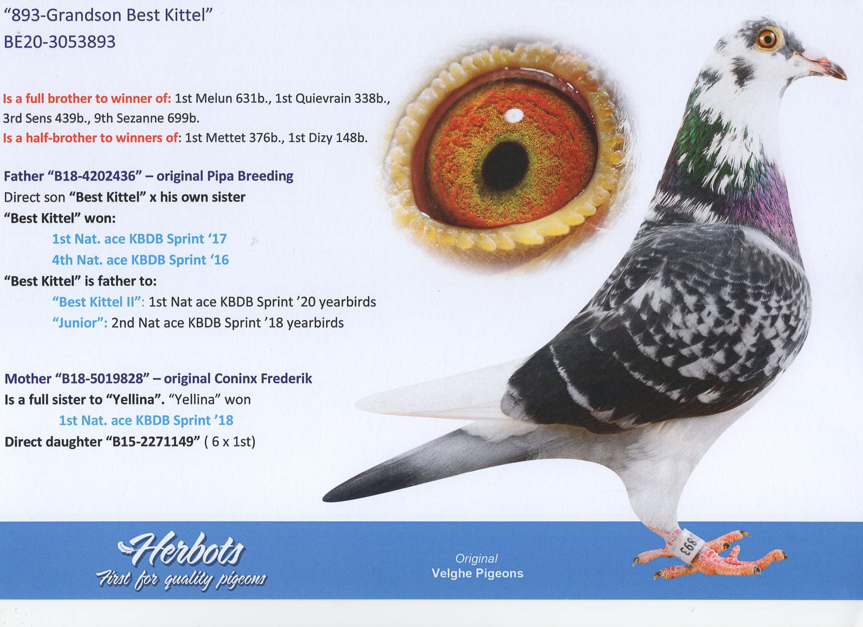 BELG 20 3053893 - VELGHE DOMINIQUE - BROTHER 4x 1 PRIZE