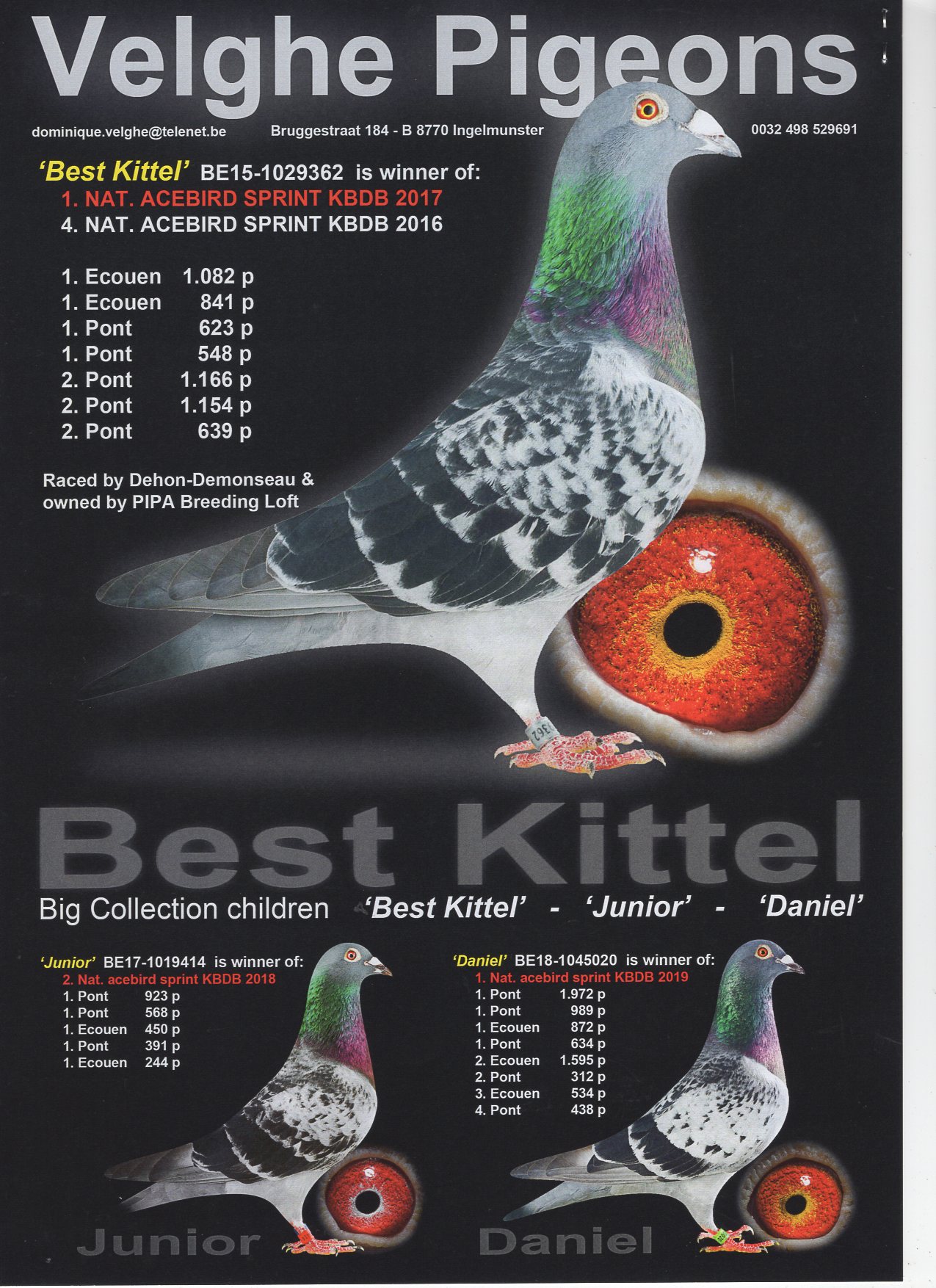 BELG 20 3053893 - VELGHE DOMINIQUE - BROTHER 4x 1 PRIZE