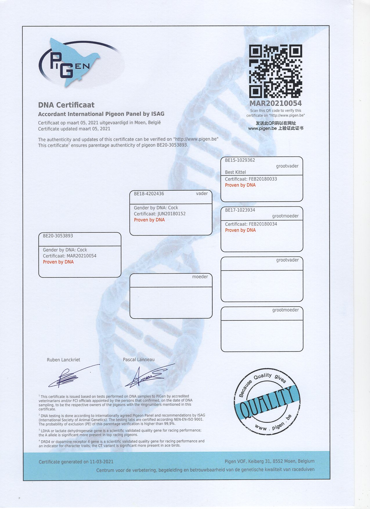BELG 20 3053893 - VELGHE DOMINIQUE - BROTHER 4x 1 PRIZE