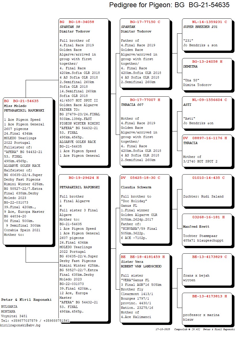 BG 21 54635 F - 1 ACE PIGEON MOLEDO (2607 PIGEONS)