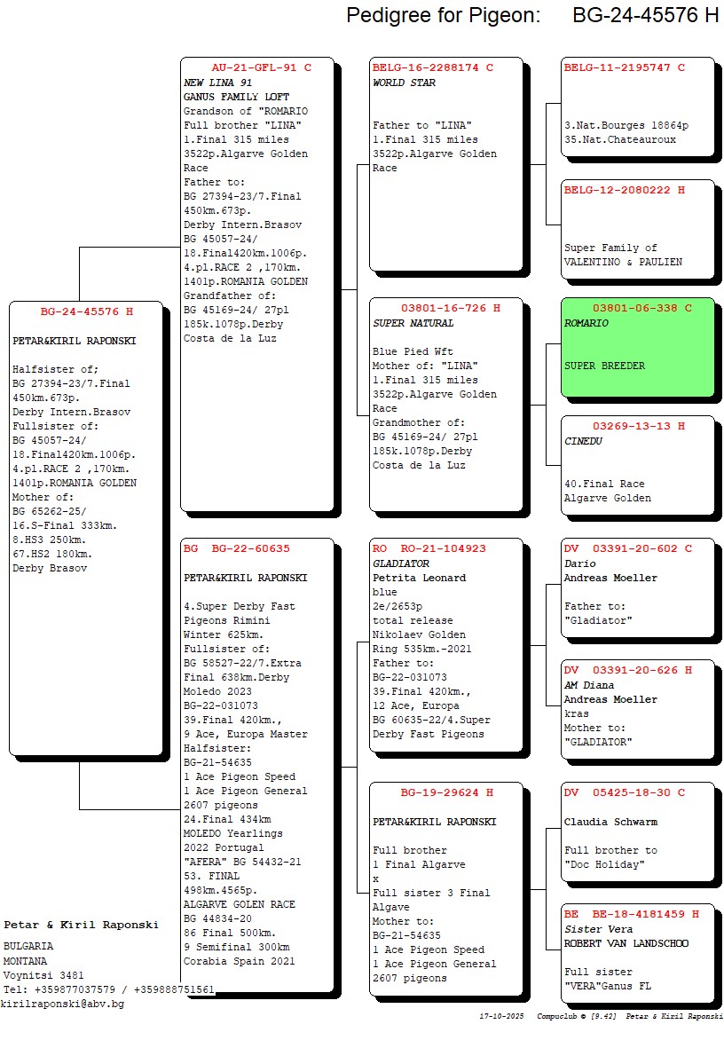 BG 24 45576 F - DAUGHTER 4 SUPER DERBY RIMINI