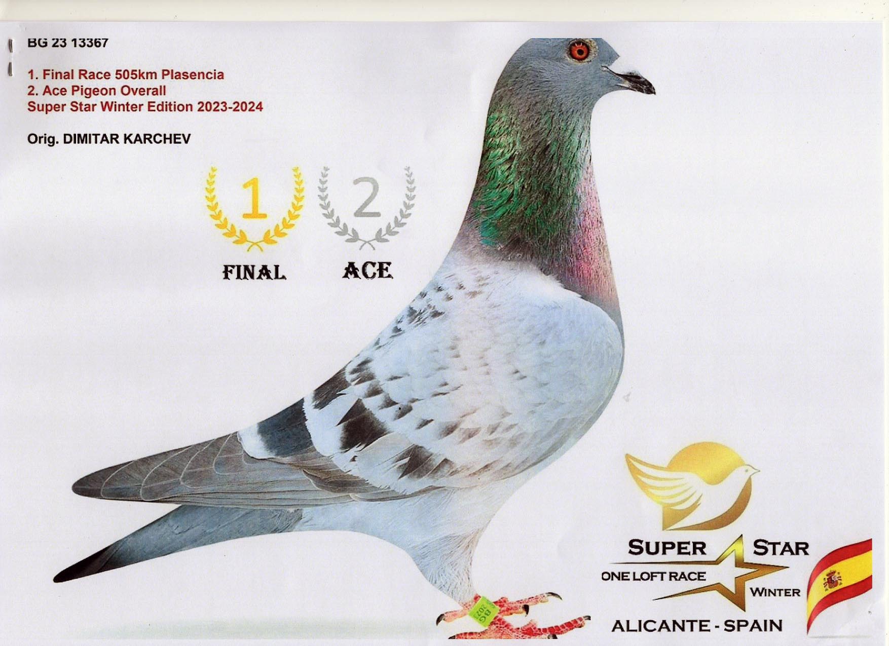 BG 24 9456 M - Full brother 1 Final (2 Ace) Superstar Spain 505km (1218 pigeons)