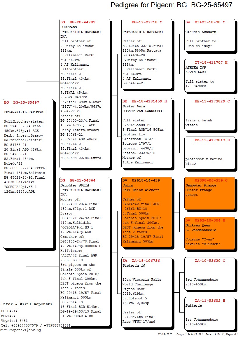 BG 25 65497 M - FULL BROTHER 1 ACE DERBY INT BRASOV