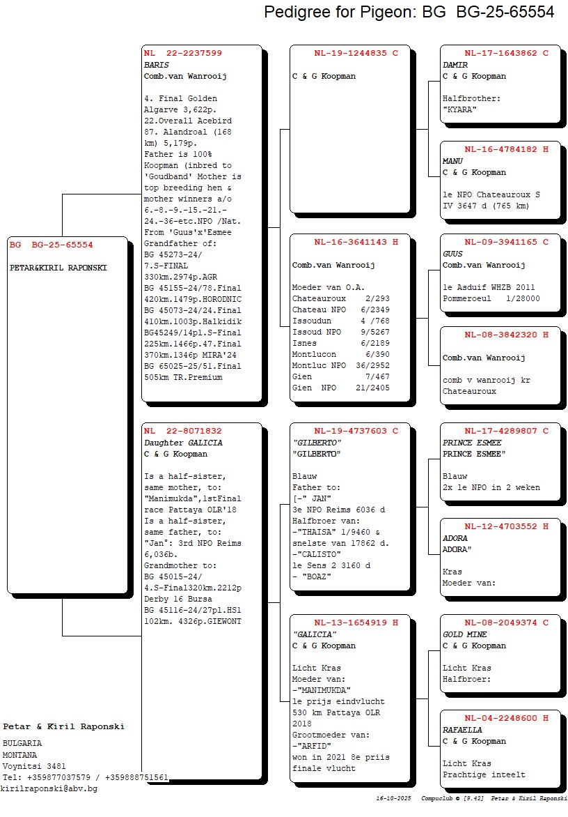 BG 25 65554 F - DAUGHTER 4 FINAL ALGARVE GOLDEN RACE