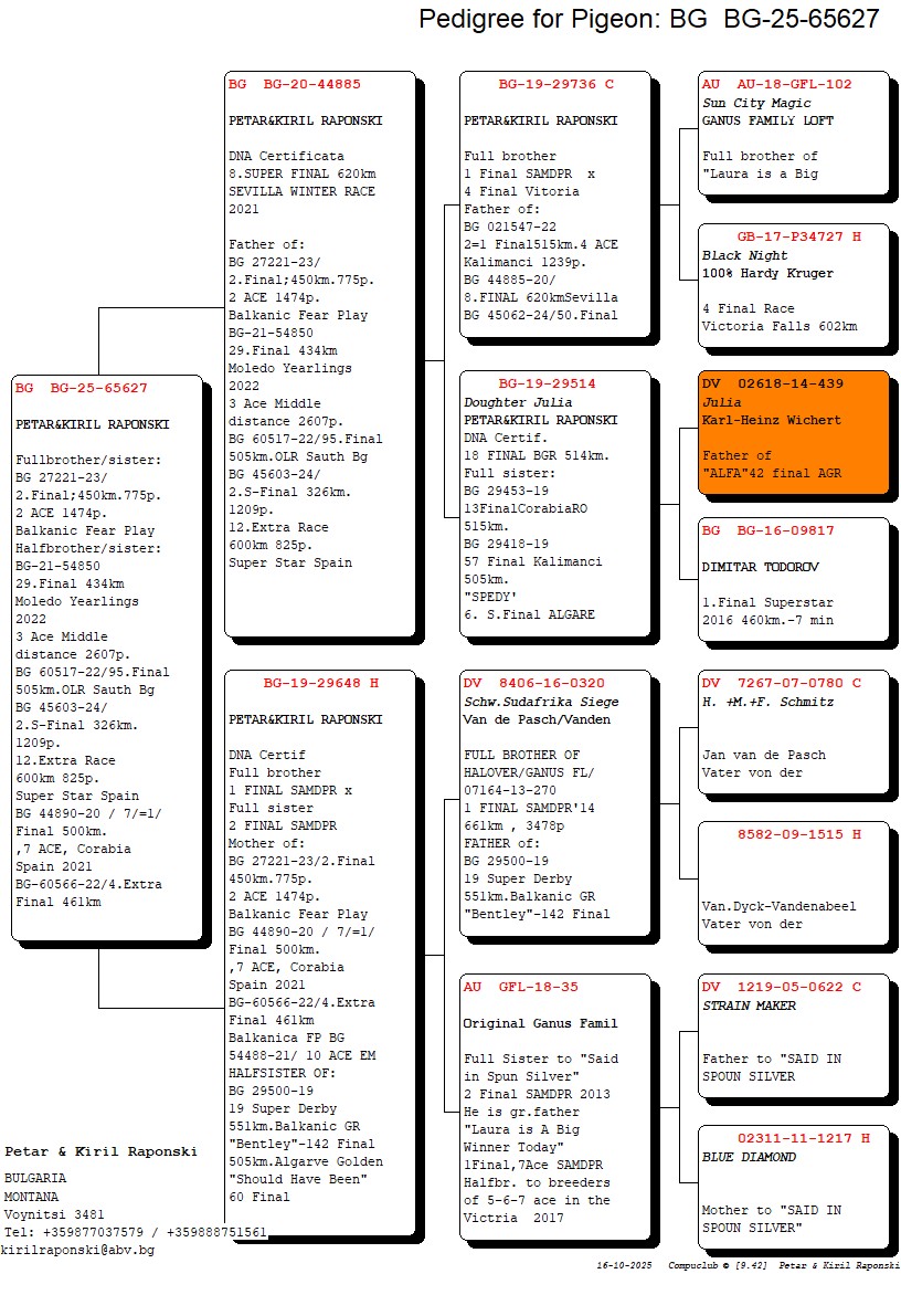 BG 25 65627 M - FULL BROTHER 2 FINAL (2 ACE) BFP