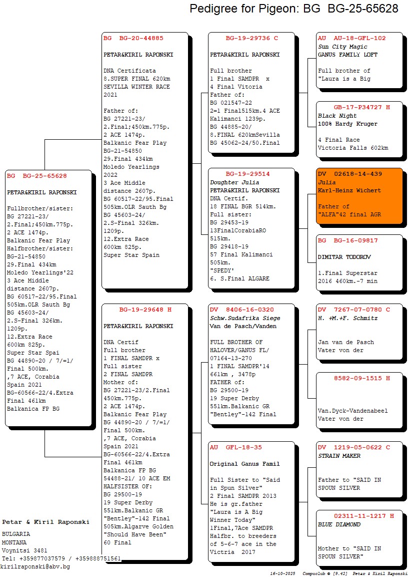 BG 25 65628 F - FULL SISTER 2 FINAL (2 ACE) BFP