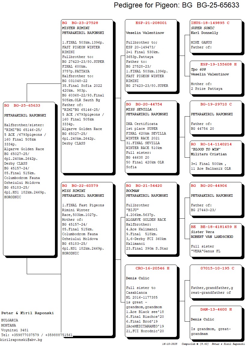 BG 25 65633 F - HALF SISTER 5 ACE ALGARVE GOLDEN RACE 2025 (6793 PIGEONS)