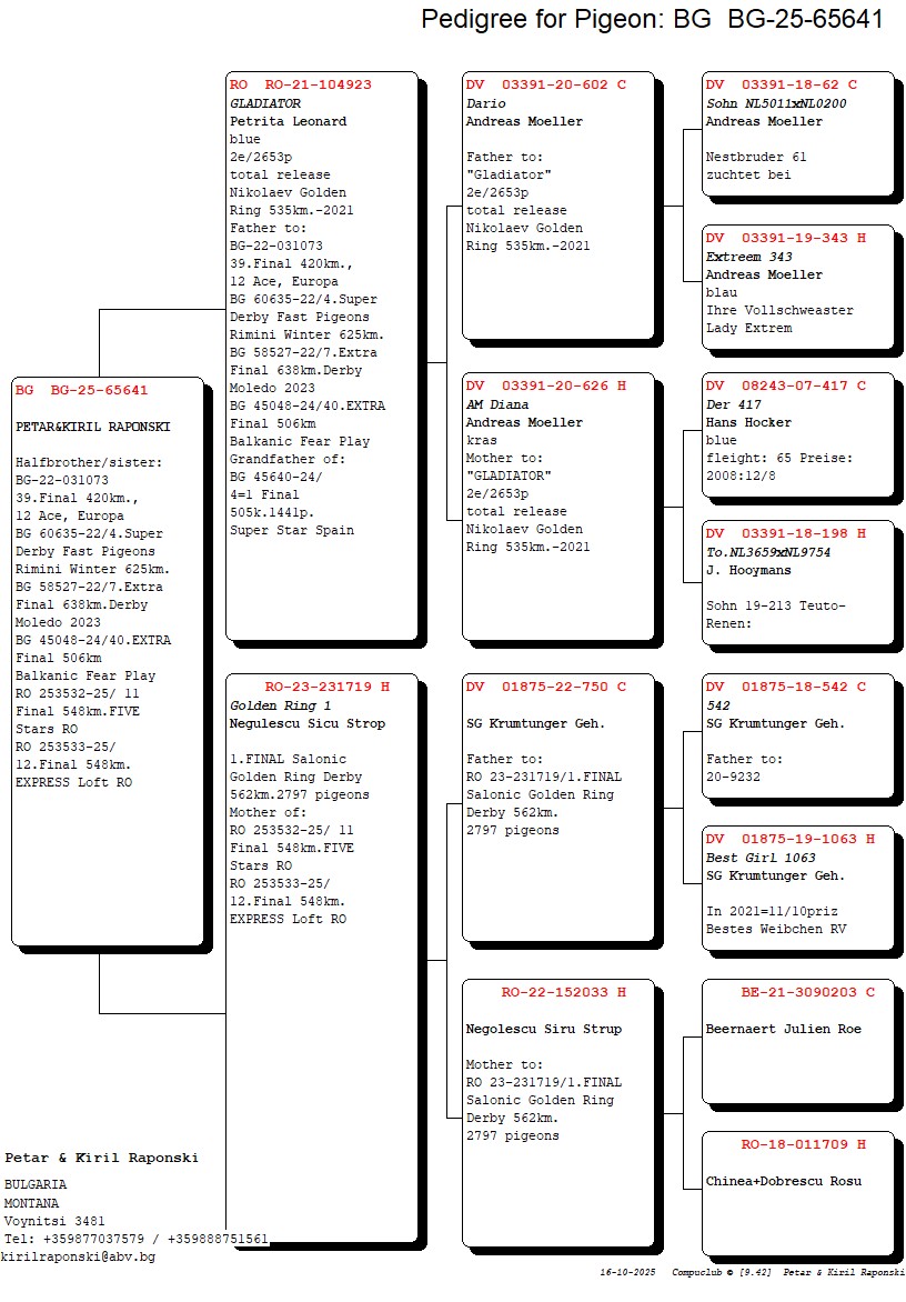 BG 25 65641 M - SON 1 PLACE SALONIC GOLDEN RING