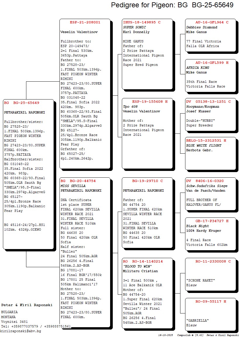 BG 25 65649 M - FULL BROTHER 1 FINAL RIMINI OLR (1396 PIGEONS)