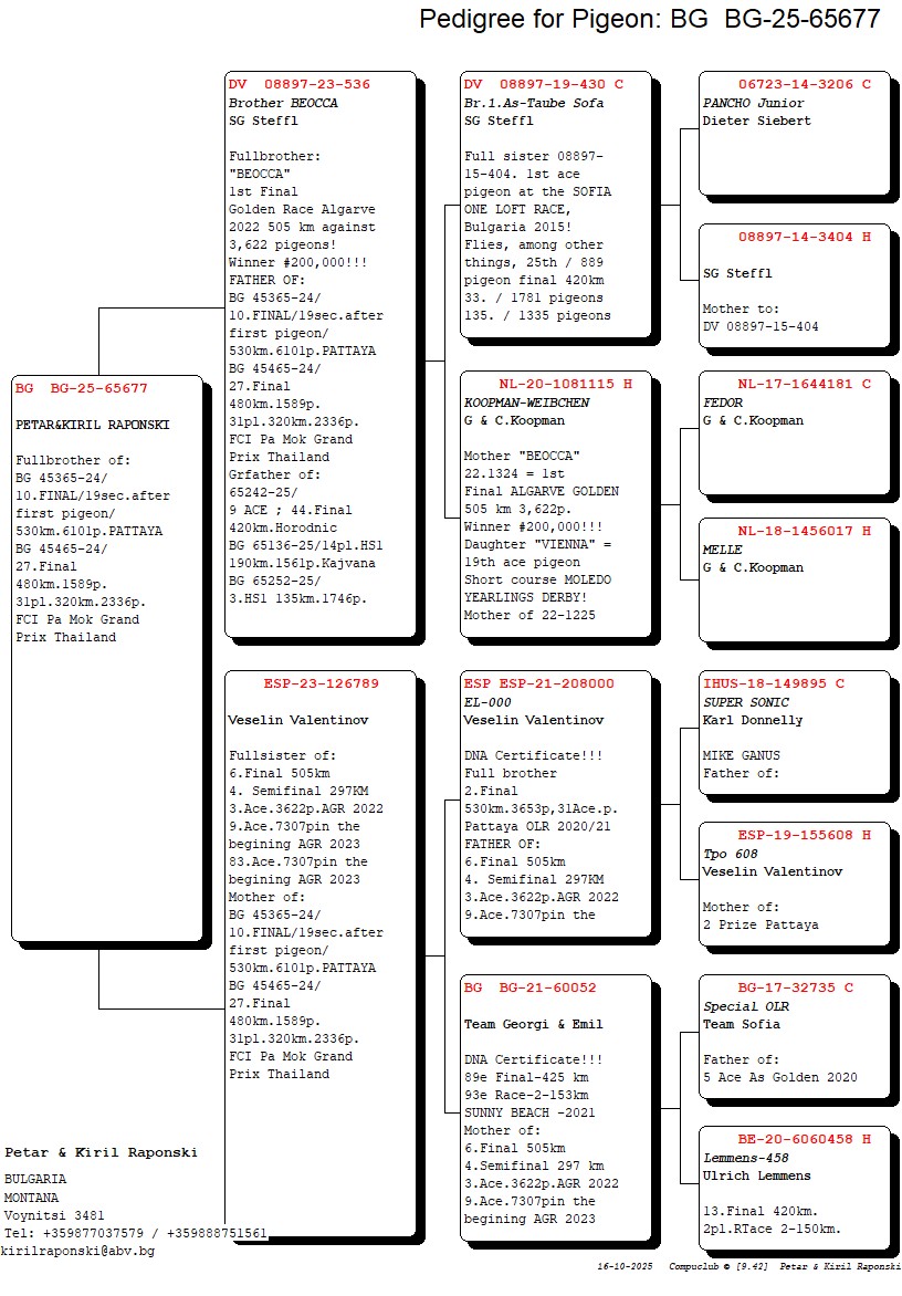BG 25 65677 M - FULL BROTHER 10 FINAL PATTAYA OLR (19 SEC AFTER 1 PLACE)