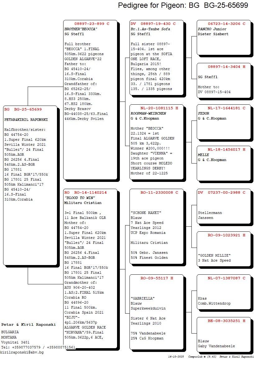 BG 25 65699 F - HALF SISTER 1 SUPER FINAL SEVILLA, 24 FINAL ALGARVE GOLDEN RACE