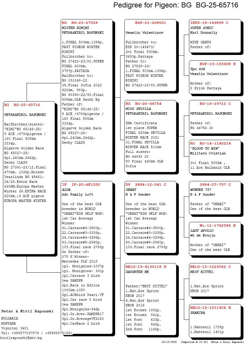 BG 25 65716 F - HALF SISTER 5 ACE ALGARVE GOLDEN RACE 2025 (6793 PIGEONS)