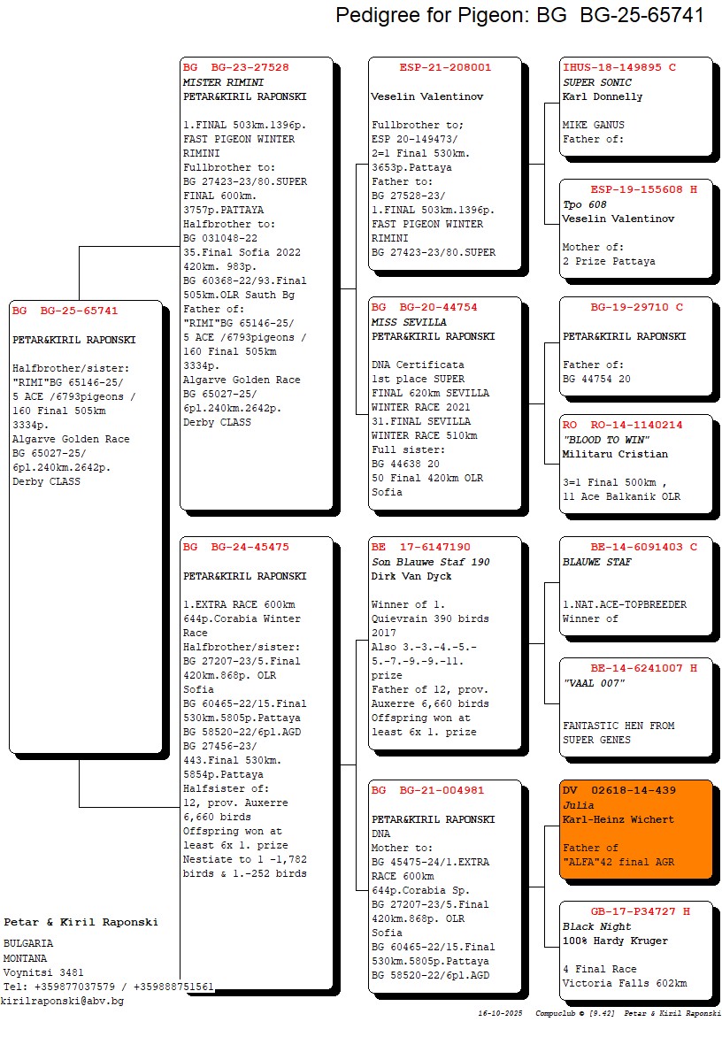 BG 25 65741 M - 1 FINAL RIMINI x 1 EXTRA FINAL CORABIA