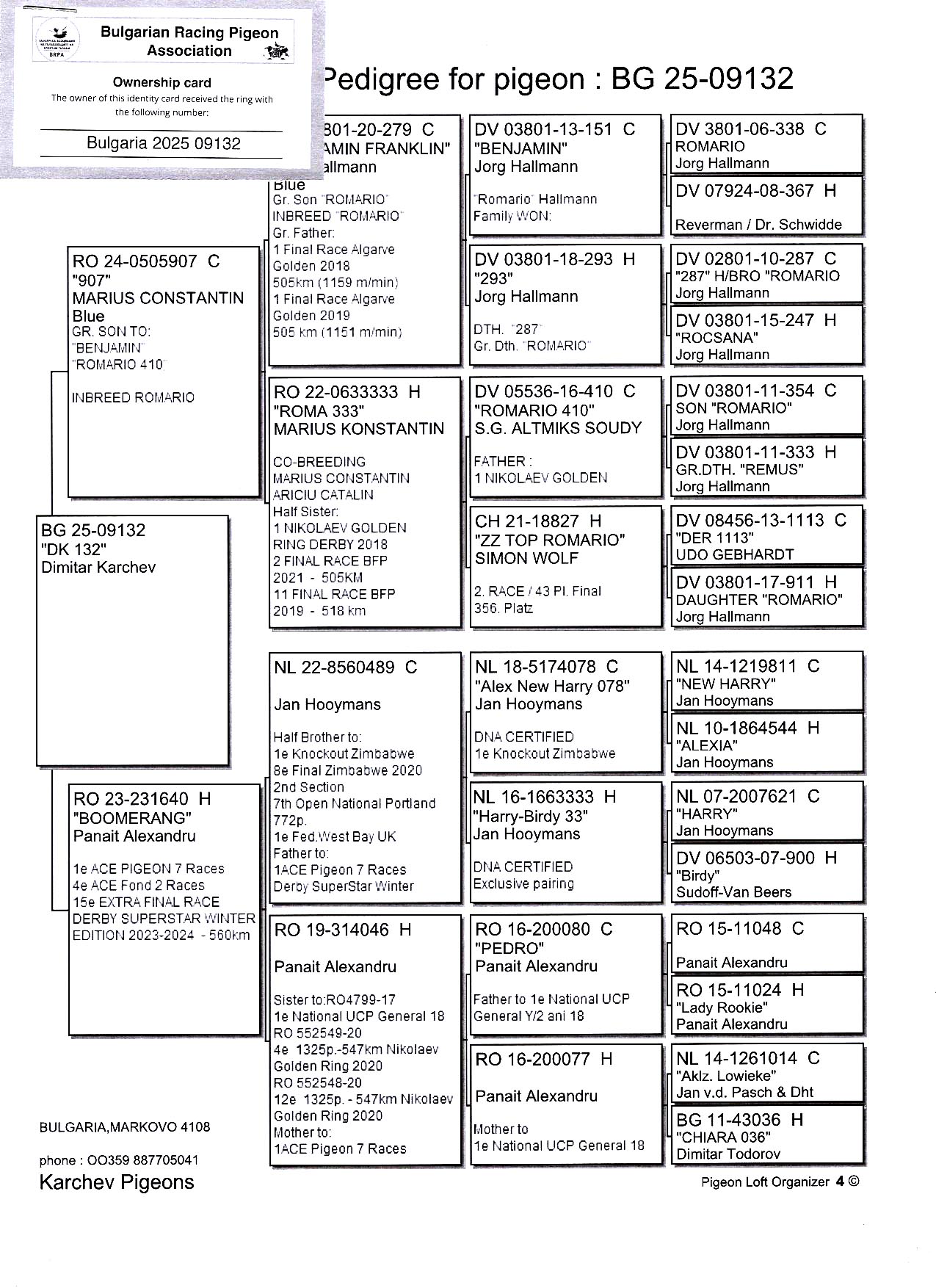 BG 25 9132 M - Son 1 Ace (7 races) Superstar Spain OLR