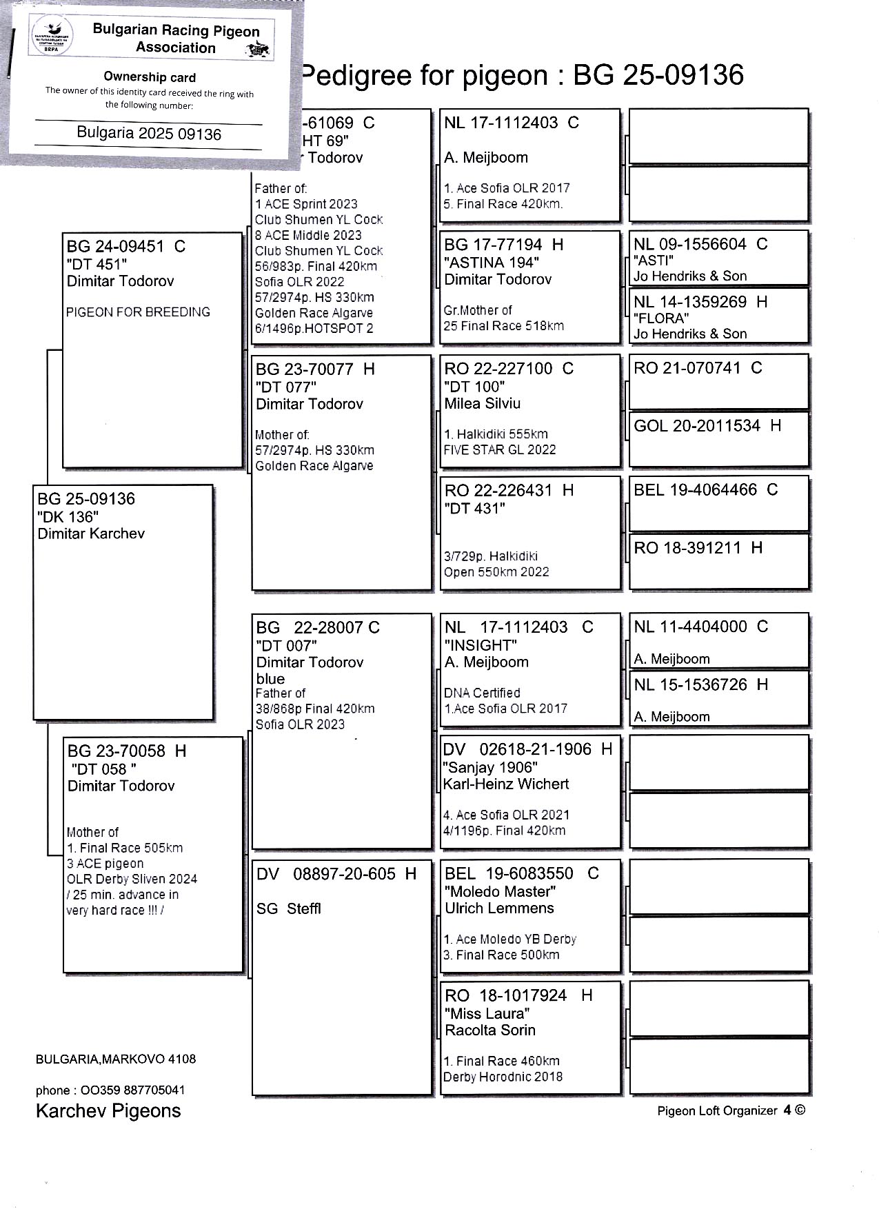 BG 25 9136 F - Half sister 1 Final Sliven OLR